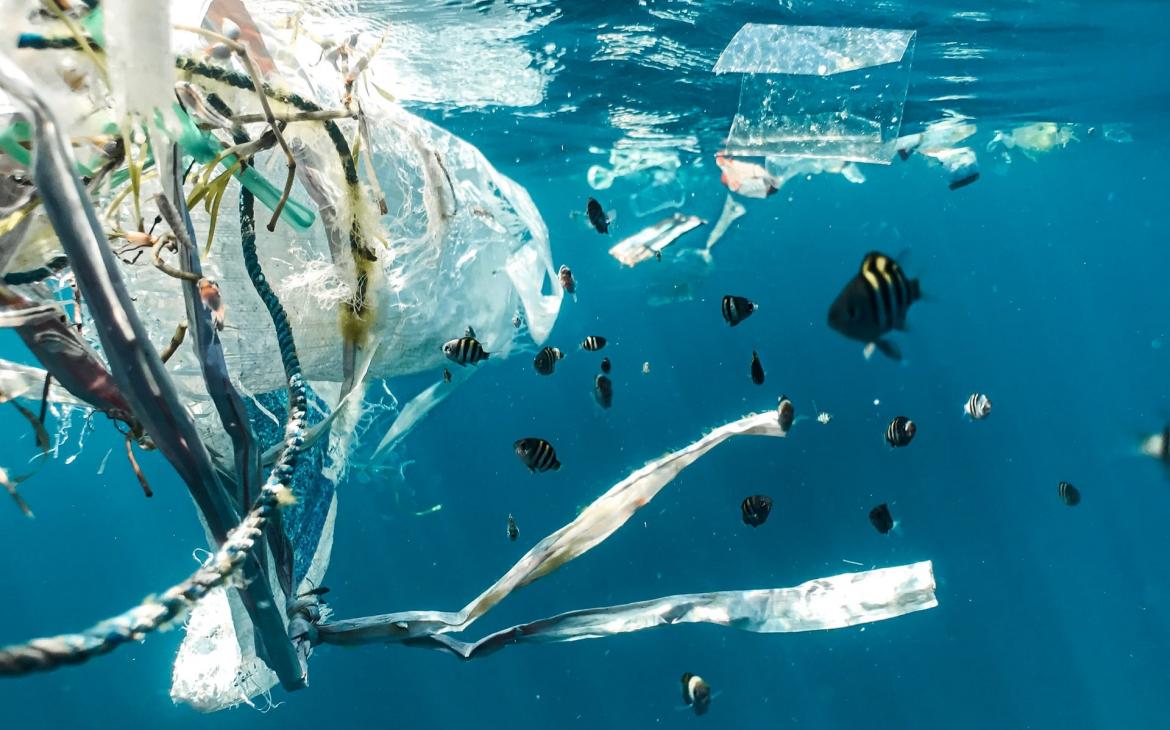 Pollution en mer : 7 gestes simples pour naviguer responsable